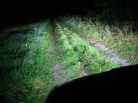[Rozmiar: 17593 bajtw]